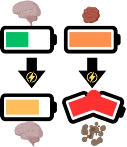 GlioLighT Project - batteries image