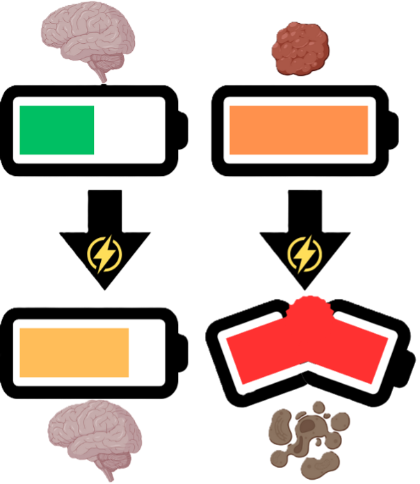 GlioLighT Project - batteries image